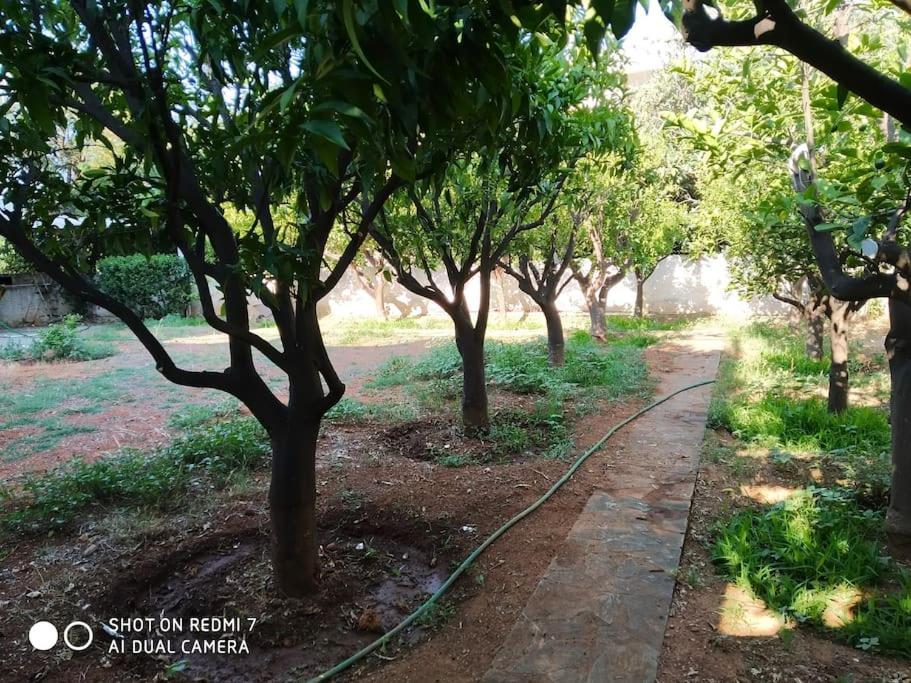 Quiet With A Garden Apartment *