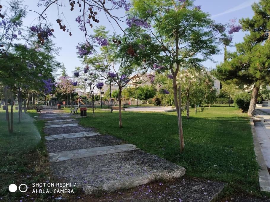 Apartment Quiet With A Garden